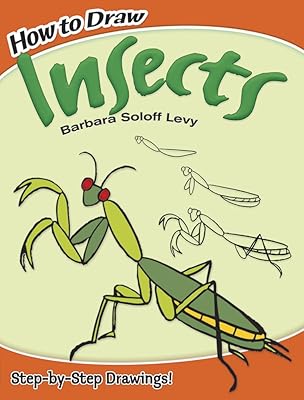 Comment dessiner des insectes