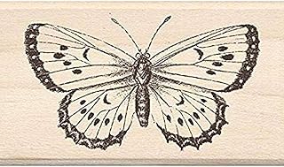 Tampons en caoutchouc enkadindo 1,8" x 7,6" - grand papillon