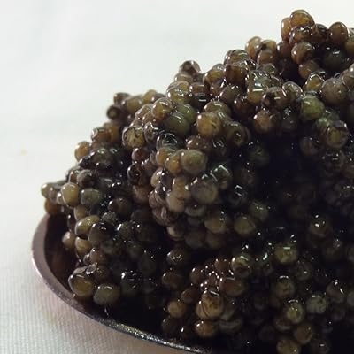Bol de caviar fermier roschen ostra crown. Diaytar Sénégal : Le plaisir d'acheter sans se priver