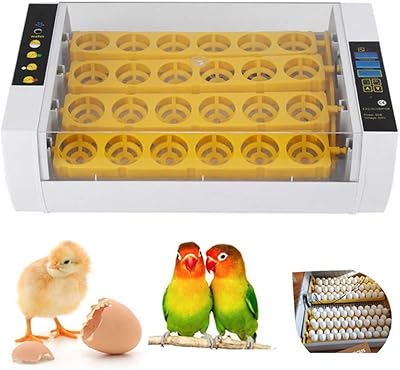 Incubateur d'œufs, 24 couveuses numériques transparentes, contrôle automatique de la température, économie d'énergie