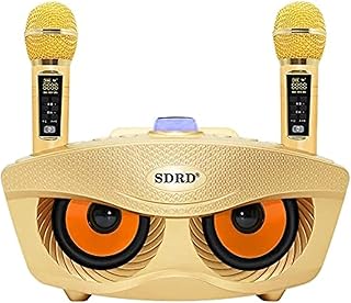 2022 nouveau lecteur karaoké sd306 plus 30w double haut-parleur bluetooth 4.2 famille microphone
