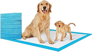 Coussins jetables anti-fuites à séchage rapide fang honlifo pour animaux de compagnie