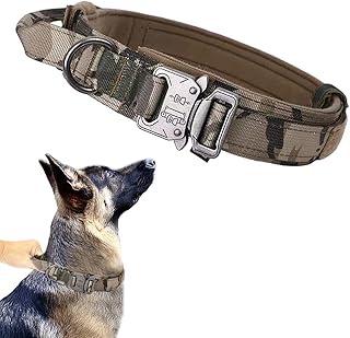 Collier tactique pour chien, collier militaire d'extérieur pour chien, collier de dressage