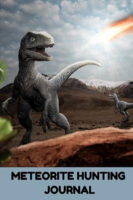 Journal de chasse aux météorites : matériaux extraterrestres que vous pouvez trouver maintenant