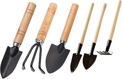 Ensemble d'outils de jardin 6 pièces, outils pour plantes succulentes castwave, ciseaux d'élagage
