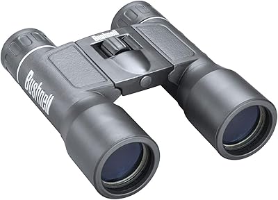 Jumelles bushnell powerview 10 x 32 mm toit noir prism frp, boîte
