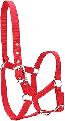 Bride de cheval de 6 mm d'épaisseur licou d'équitation haute densité accessoire