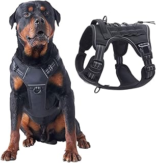 Harnais tactique auretti pour chiens de taille moyenne et grande, gilet d'entraînement à