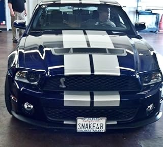 Big mike's shelby gt500 sto n sho 2010-2012 mustang shelby gt500 sto n