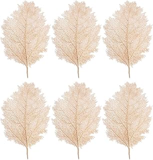 Vozeria 6 pièces de sets de table durables et pratiques pour la décoration
