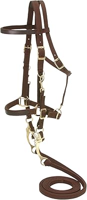 Bride en nylon tough 1 australian outrider / bridle