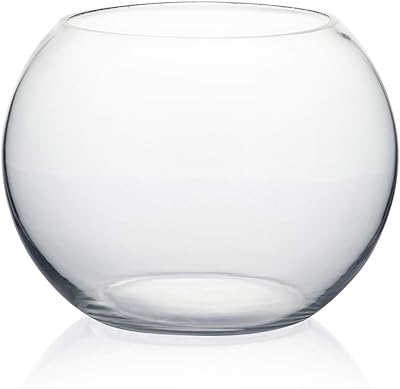 Bol en verre transparent wjv de 8 pouces avec chiffon de nettoyage