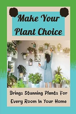 Faites votre choix de plantes : apporte de superbes plantes pour chaque pièce