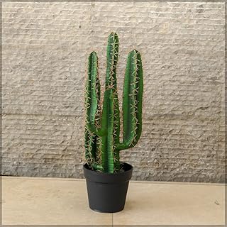 Plante de cactus artificielle yatai de 70 cm de hauteur avec pot