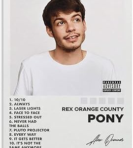 Affiche d'album rex orange county, affiche de poney, décoration de chambre, peinture murale esthétique pour chambre à coucher 12 x 18 pouces (30 x 45 cm). La nouvelle ère du shopping sénégalais commence avec Diaytar