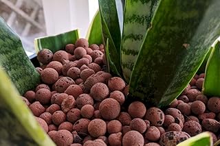 Ohhsome boules d'argile hydroponiques gravier d'argile (cendres) pour l'agriculture hors sol 1 kg