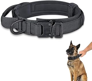 Collier tactique pour chien gzs, collier pour chien en nylon d'entraînement militaire réglable