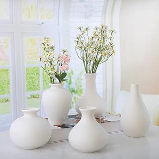 Ensemble de vases en céramique - 5 petits vases en céramique blanche