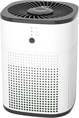 Purificateur d'air de chambre à coucher véritable filtre hepa h13 pour grande