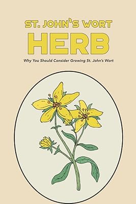 Herbe de millepertuis : pourquoi vous devriez envisager de cultiver du. Le meilleur du e-commerce discount réuni sur Diaytar