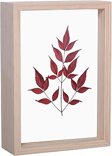 Cadre photo en bois acrylique double face longwin 6x8, spécimens de plantes séchées