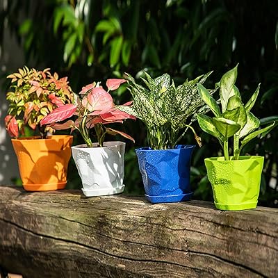 Wish lot de 5 pots de fleurs de 6,8 pouces, pots de plantes