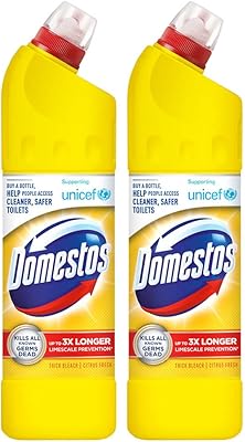 Nettoyant wc domestos, javellisant épais, anticalcaire et désinfectant puissant 750 ml x 2