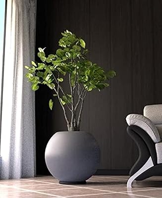 Pots à billes gris foncé pour usage intérieur et extérieur/fibre de verre/pots