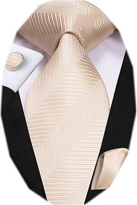 Ensemble de cravates tissées à motif cachemire rayé pour hommes avec boutons