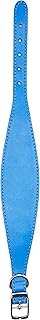 Collier whippet bpd pet products taille unique 1" x 14" à
