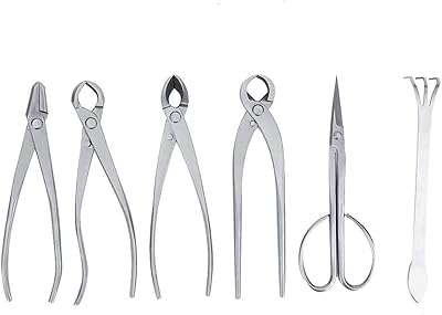 Ensemble d'outils pour bonsaï 6 pièces tranches concaves d'arbre végétal de qualité professionnelle