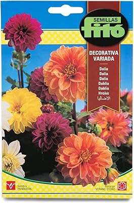 Mélange de graines de fleurs ornementales phyto semillas