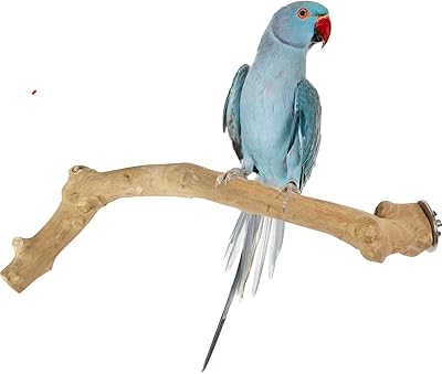 Support à oiseaux en bois de java, motif perroquet moyen, petit ara rose