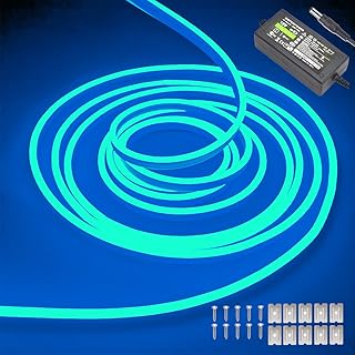 Bande lumineuse néon flexible et étanche de 16,4 pieds/5 m, 12 v