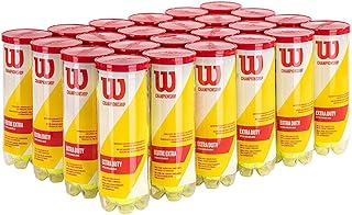 Balles de tennis extra-robustes wilson championship. Diaytar : Où vos envies rencontrent votre budget