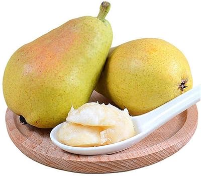 50pcs graines de poire arôme élégant graines de poirier à feuilles caduques d'héritage