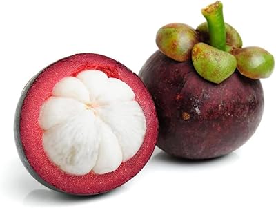 Mangoustan frais world of fruits thaïlande, 500g