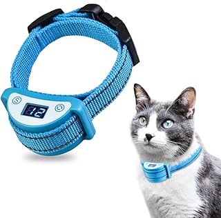 Collier anti-choc pour chat babytech, collier de dressage automatique pour entorse de chat