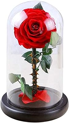 Une rose rouge préservée à la main qui ne se fanera jamais. convient