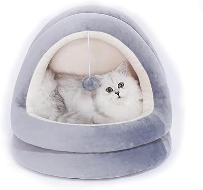 Lit d'intérieur pour chat team, canapé d'intérieur pour petits chiens, chiots, chatons