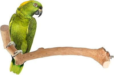 Grand support à oiseaux en bois de java pour perroquet cacatoès