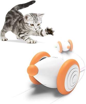 Jouet interactif pour chat cheerble, jouet de souris intelligent avec lumières led queue
