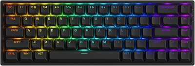 Clavier mécanique eco 65 % remplaçable à chaud, noir, rvb arc-en-ciel, touches pbt