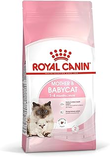Royal canin feline health nutrition nourriture pour chat maman et bébé, 10 kg