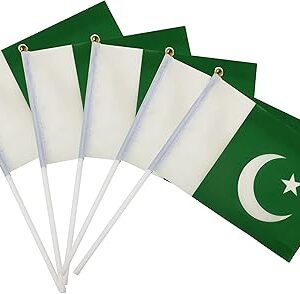 25 pièces de drapeaux de bureau double face avec le dessin du drapeau national et de la journée nationale pour décorer les anniversaires d'enfants (pakistan). Diaytar : Le choix malin des consommateurs sénégalais