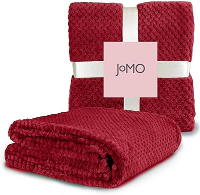 Couverture en flanelle rayée en peluche super douce king size (220 x 240)
