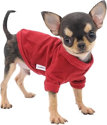 Lophipets t-shirt pour chien 100 % coton pour petits chiens tasse à thé