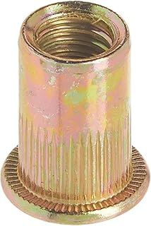 Écrous à rivets en acier pour outils pneumatiques astro 100 pièces rn516 5/16-18
