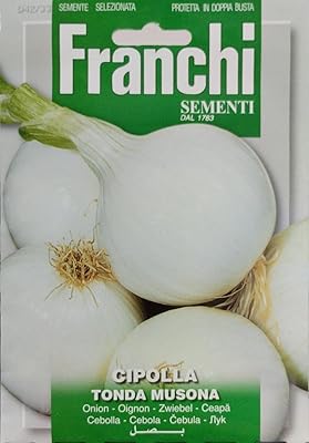 Graines d'oignon blanc cipolla tonda musona de franchi sementi. Profitez des meilleurs deals du Sénégal sur Diaytar