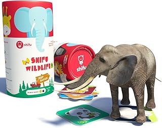 Chifu jeep safari animals ar 4d jeu éducatif pour jeunes enfants